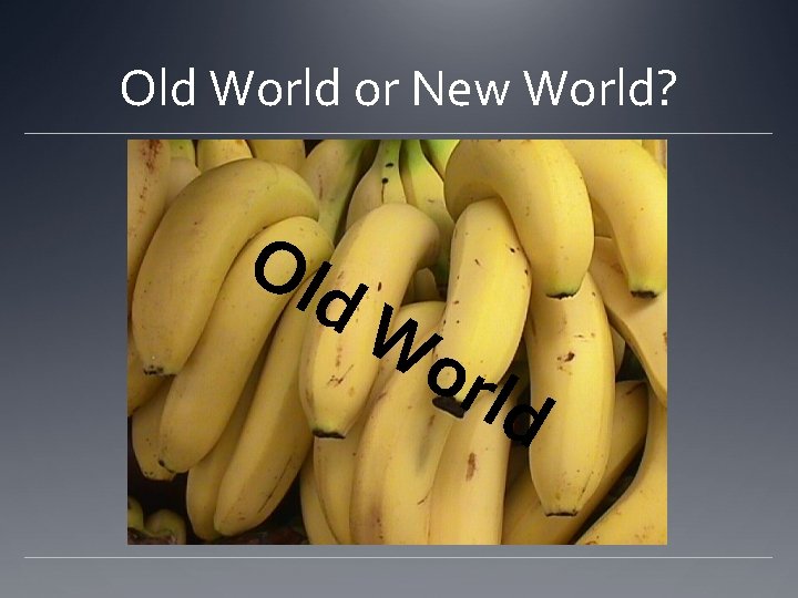 Old World or New World? Ol d. W orl d 
