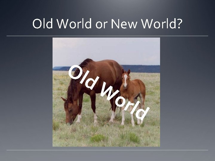 Old World or New World? Ol d. W orl d 