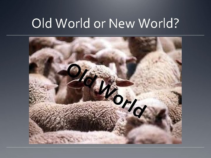 Old World or New World? Ol d. W orl d 