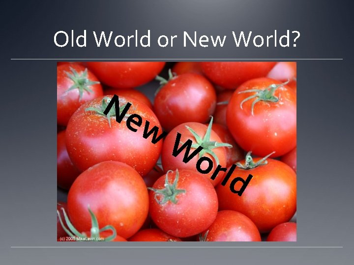 Old World or New World? Ne w Wo rld 