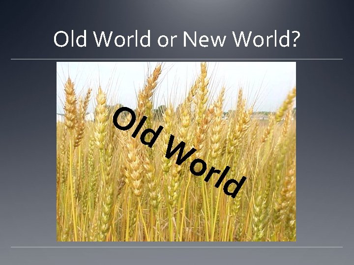 Old World or New World? Ol d. W orl d 