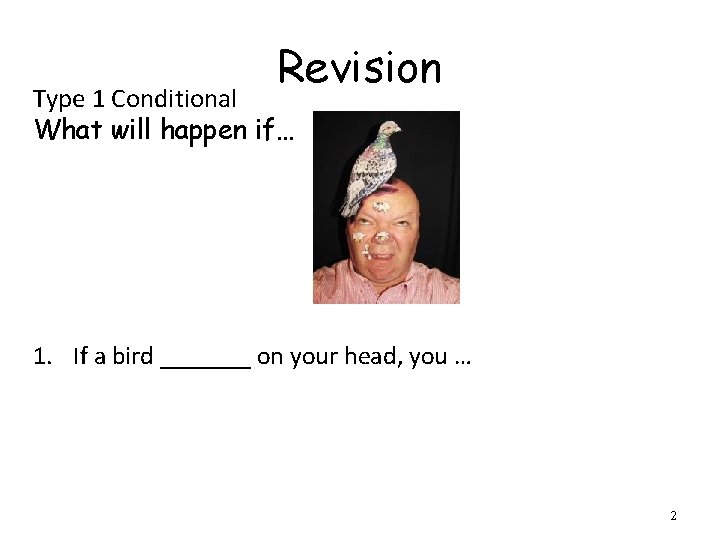 Revision Type 1 Conditional What will happen if… 1. If a bird _______ on