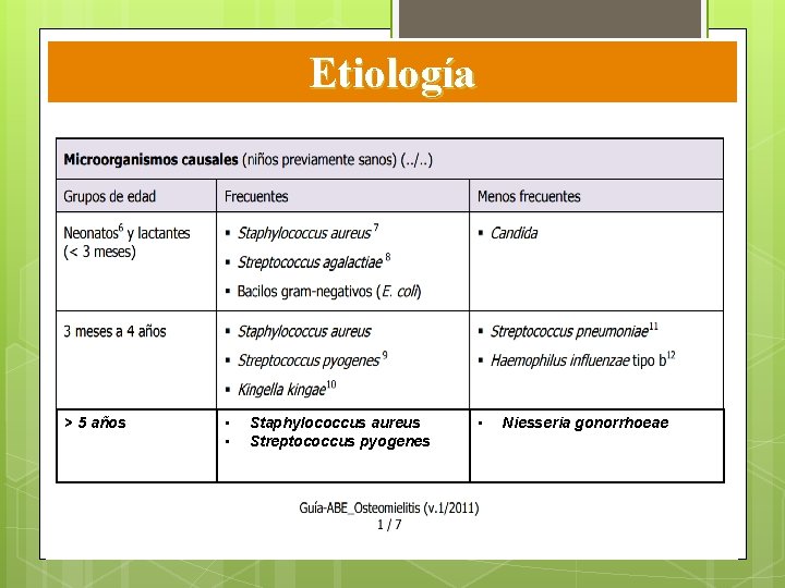 Etiología > 5 años • • Staphylococcus aureus Streptococcus pyogenes • Niesseria gonorrhoeae Etiología > 5 años • • Staphylococcus aureus Streptococcus pyogenes • Niesseria gonorrhoeae