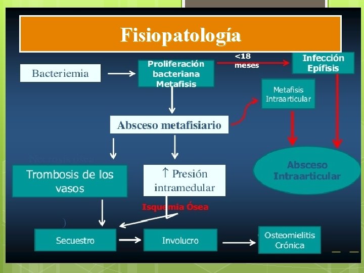 Fisiopatología Fisiopatología