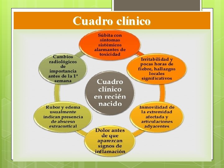 Cuadro clínico INICIO Síndrome infeccioso ligado a la bacteriemia - Fiebre 39° - 40° Cuadro clínico INICIO Síndrome infeccioso ligado a la bacteriemia - Fiebre 39° - 40°