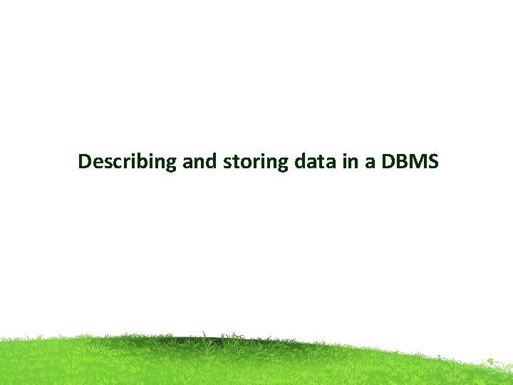 Describing and storing data in a DBMS 