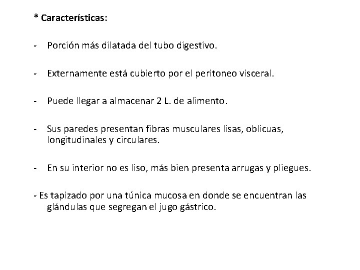 * Características: - Porción más dilatada del tubo digestivo. - Externamente está cubierto por