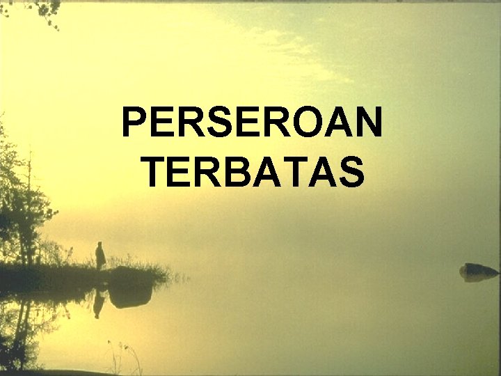 PERSEROAN TERBATAS 