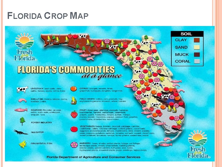 FLORIDA CROP MAP 