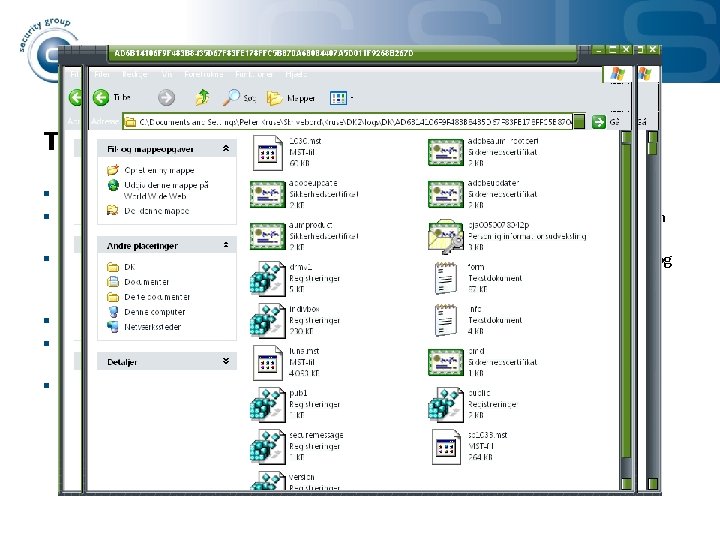 Teknisk præsentation af regning. exe § Mailen blev sendt til ca 250, 000 vilkårlige