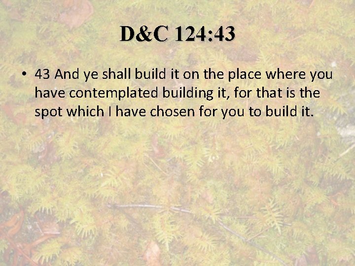 D&C 124: 43 • 43 And ye shall build it on the place where