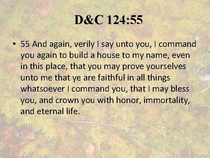 D&C 124: 55 • 55 And again, verily I say unto you, I command
