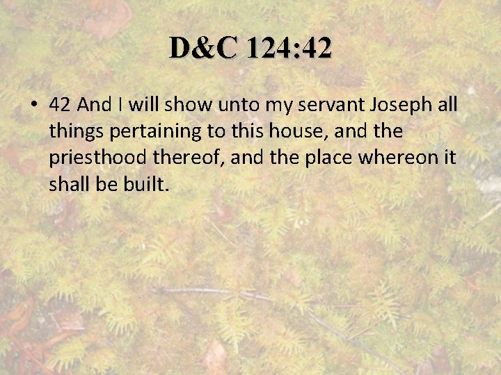D&C 124: 42 • 42 And I will show unto my servant Joseph all