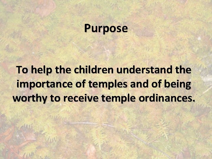 Purpose To help the children understand the importance of temples and of being worthy