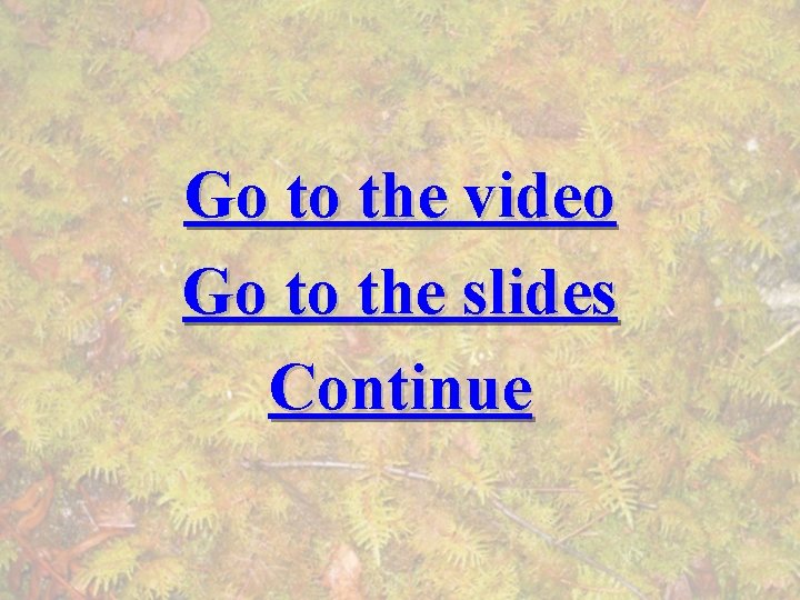 Go to the video Go to the slides Continue 