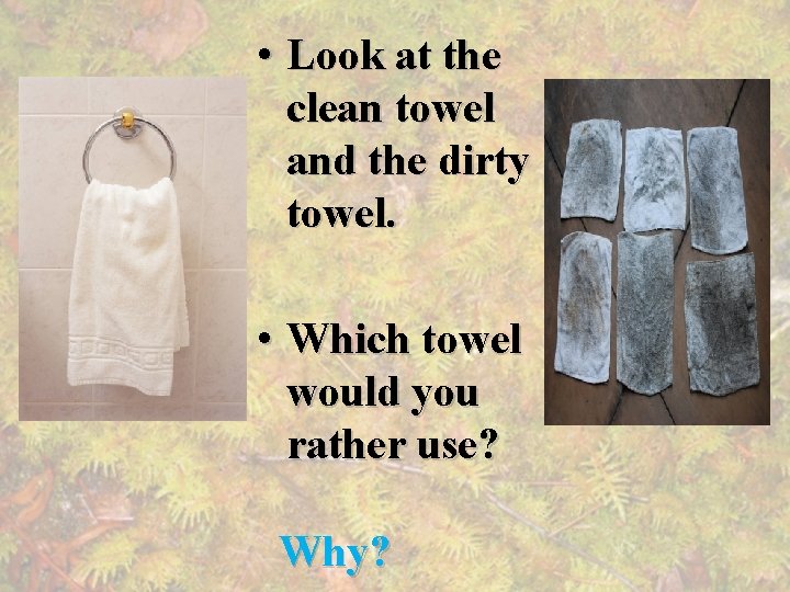  • Look at the clean towel and the dirty towel. • Which towel
