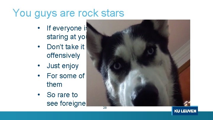You guys are rock stars • If everyone is • • staring at you