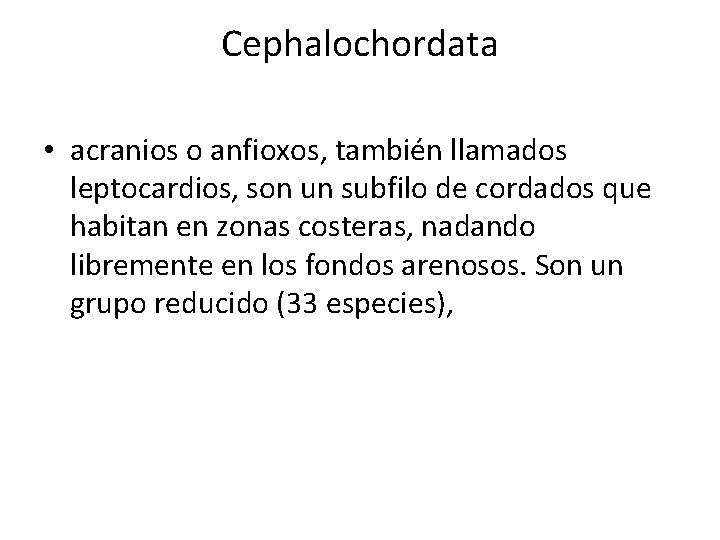 Cephalochordata • acranios o anfioxos, también llamados leptocardios, son un subfilo de cordados que Cephalochordata • acranios o anfioxos, también llamados leptocardios, son un subfilo de cordados que