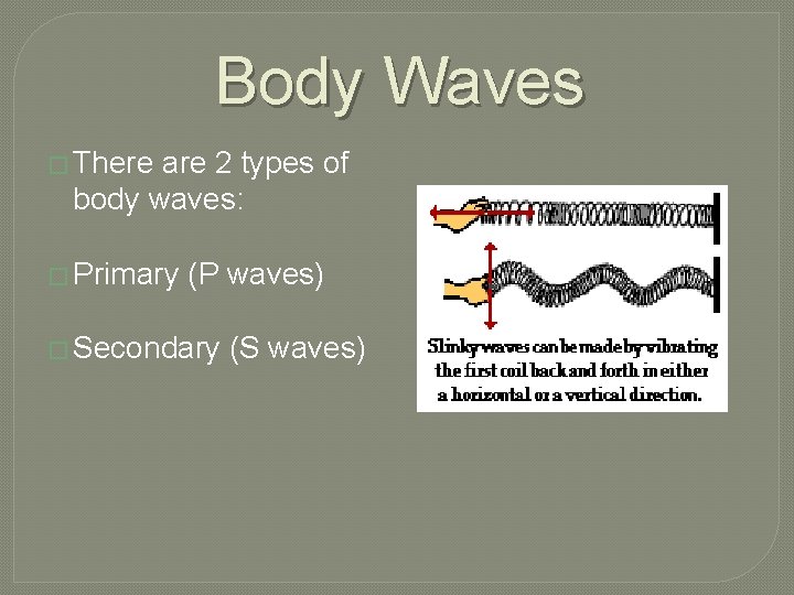 Body Waves � There are 2 types of body waves: � Primary (P waves)