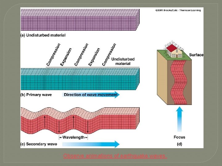 Observe animations of earthquake waves. 