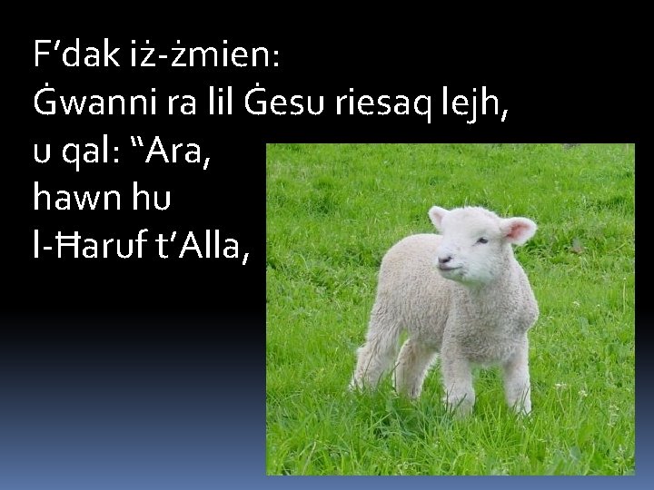 F’dak iż-żmien: Ġwanni ra lil Ġesu riesaq lejh, u qal: “Ara, hawn hu l-Ħaruf