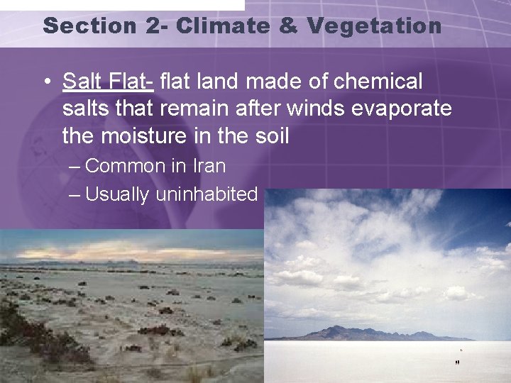 Section 2 - Climate & Vegetation • Salt Flat- flat land made of chemical