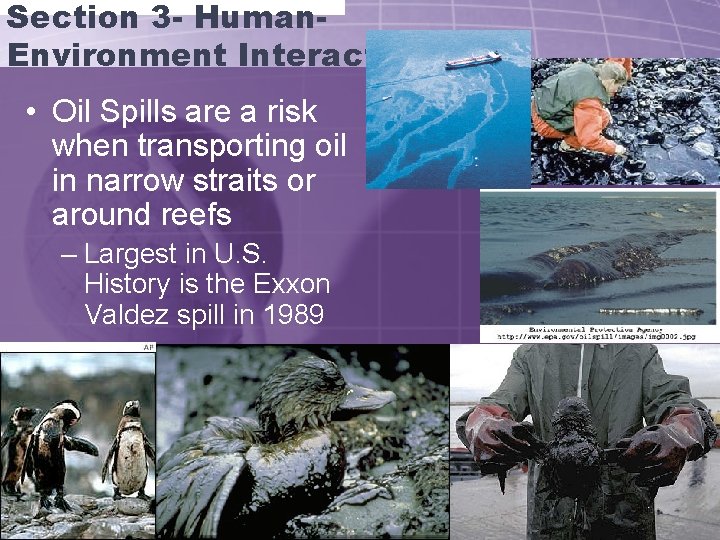 Section 3 - Human. Environment Interaction • Oil Spills are a risk when transporting