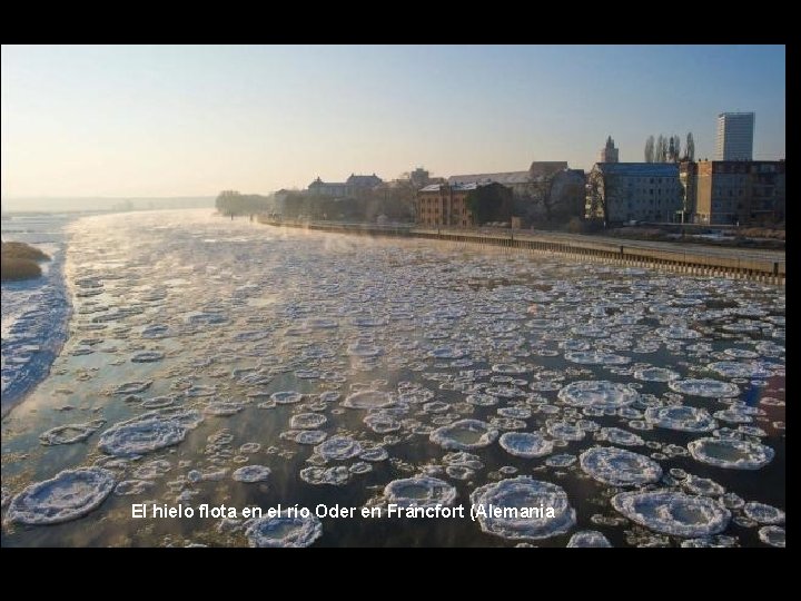 El hielo flota en el río Oder en Fráncfort (Alemania 