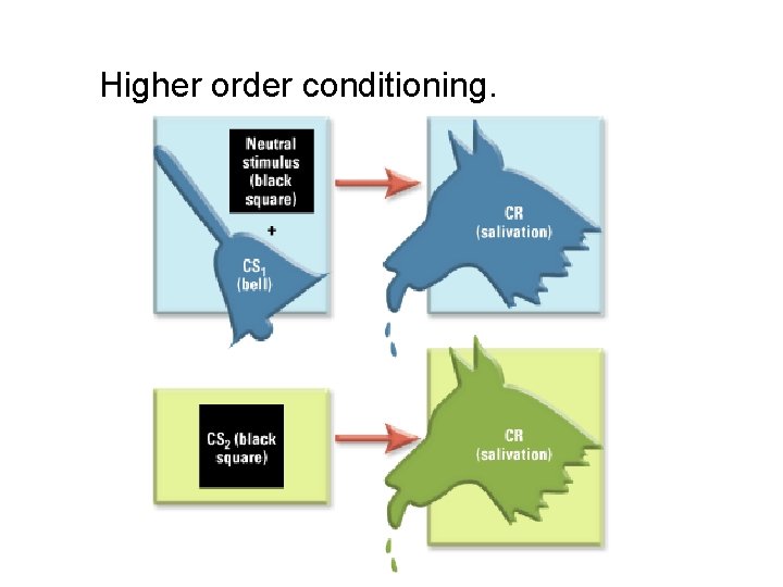 Higher order conditioning. 