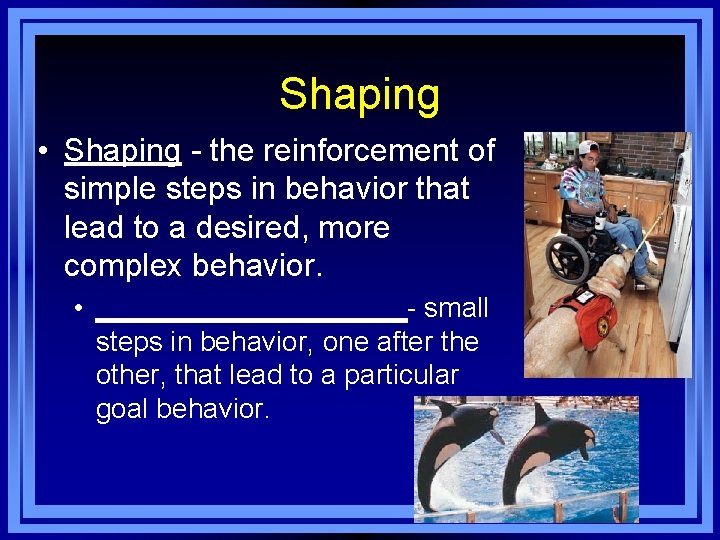Shaping • Shaping - the reinforcement of simple steps in behavior that lead to