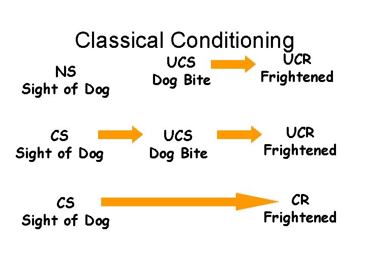 Classical Conditioning NS Sight of Dog CS Sight of Dog UCS Dog Bite UCR