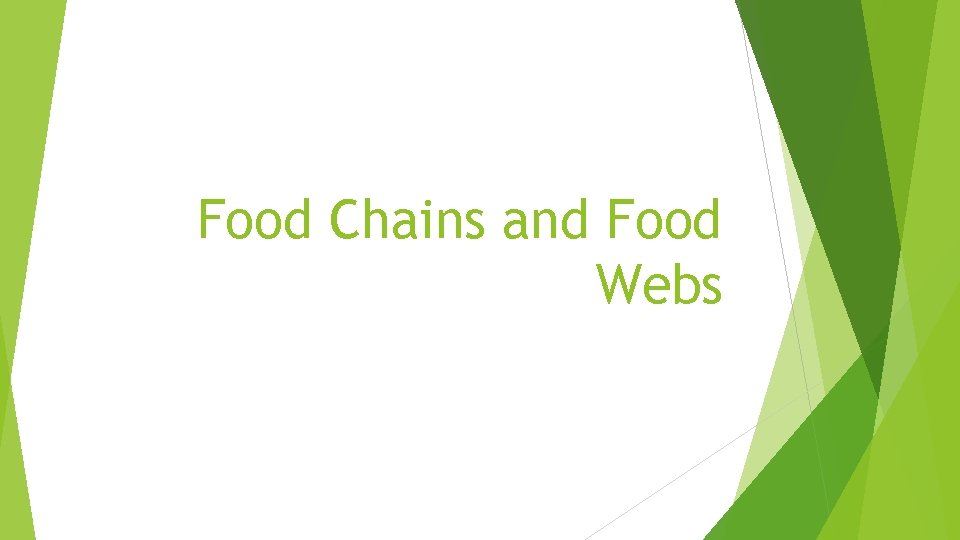 Food Chains and Food Webs 