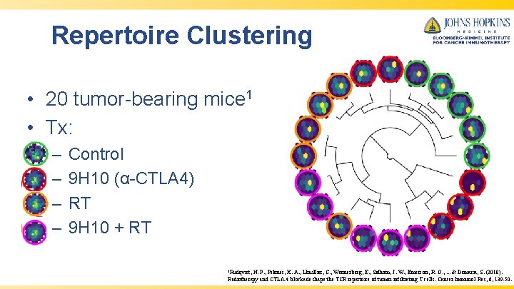 Repertoire Clustering • 20 tumor-bearing mice 1 • Tx: – – Control 9 H