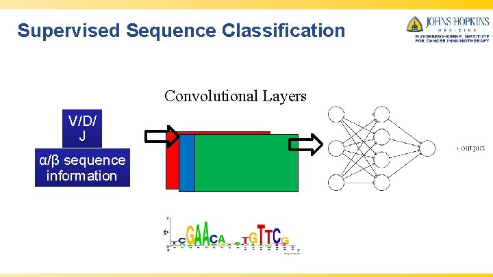 Supervised Sequence Classification Convolutional Layers V/D/ J α/β sequence information 