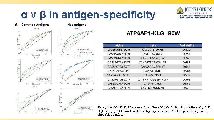 α v β in antigen-specificity Zhang, S. Q. , Ma, K. Y. , Schonnesen,