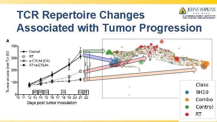 TCR Repertoire Changes Associated with Tumor Progression 