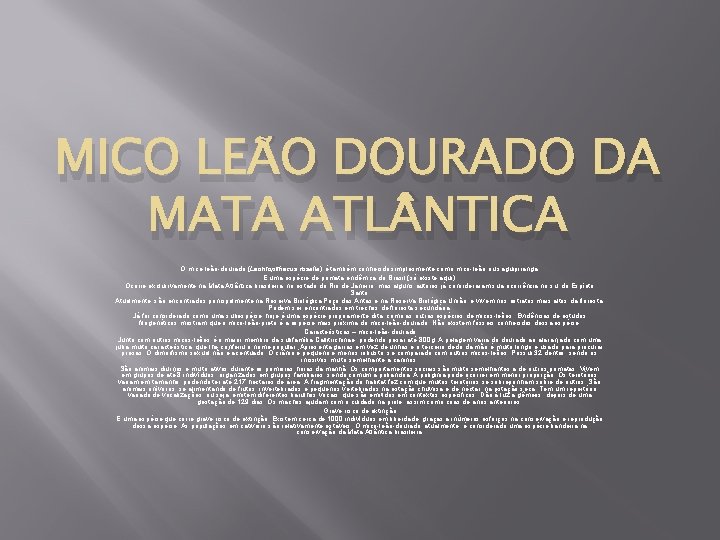 MICO LEÃO DOURADO DA MATA ATL NTICA O mico-leão-dourado (Leontopithecus rosalia) é também conhecido