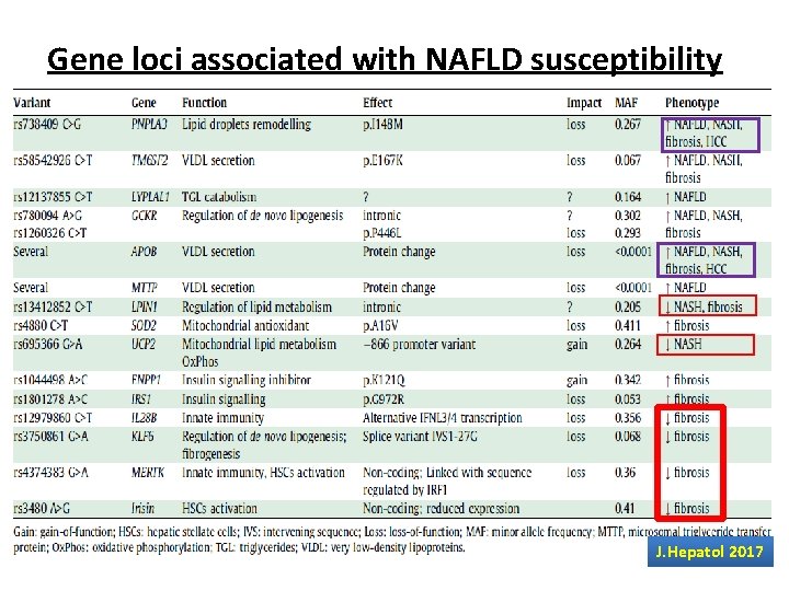 Gene loci associated with NAFLD susceptibility Gene Membrane bound O-acyl-transferase domain containing 7 (MBOAT