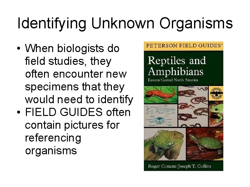 Identifying Unknown Organisms • When biologists do field studies, they often encounter new specimens