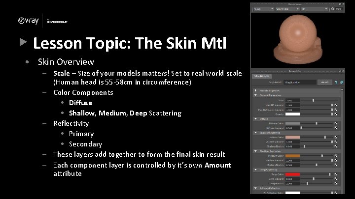 Lesson Topic: The Skin Mtl • Skin Overview – Scale – Size of your