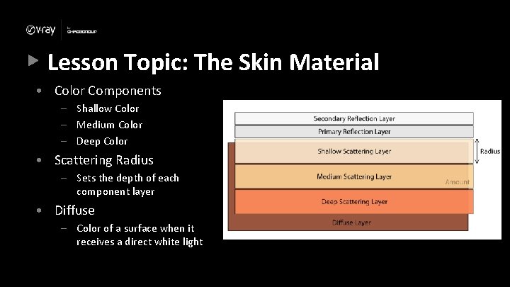 Lesson Topic: The Skin Material • Color Components – Shallow Color – Medium Color