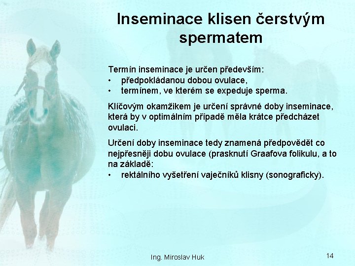 Inseminace klisen čerstvým spermatem Termín inseminace je určen především: • předpokládanou dobou ovulace, •