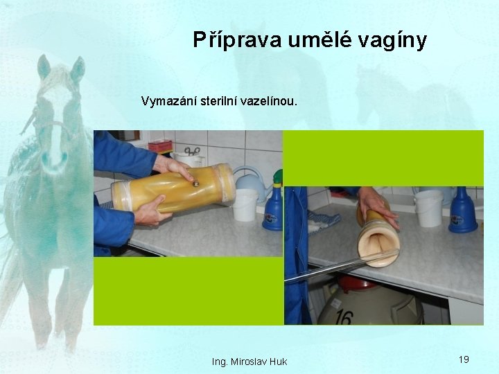 Příprava umělé vagíny Vymazání sterilní vazelínou. Ing. Miroslav Huk 19 