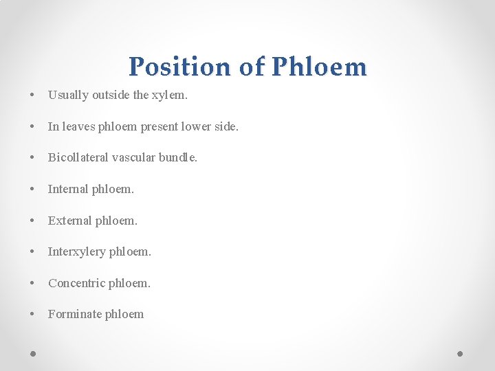 Position of Phloem • Usually outside the xylem. • In leaves phloem present lower