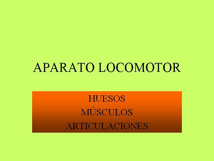 APARATO LOCOMOTOR HUESOS MÚSCULOS ARTICULACIONES 