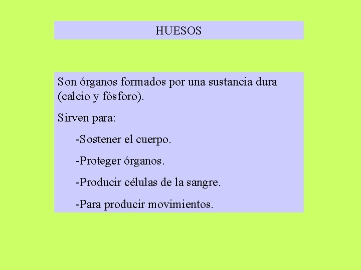 HUESOS Son órganos formados por una sustancia dura (calcio y fósforo). Sirven para: -Sostener