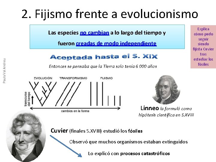 2. Fijismo frente a evolucionismo Las especies no cambian a lo largo del tiempo