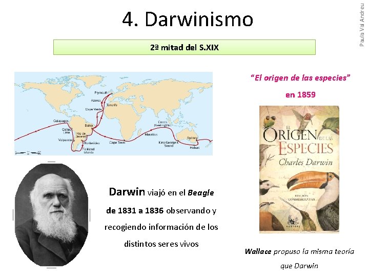 Paula Val Andreu 4. Darwinismo 2ª mitad del S. XIX “El origen de las