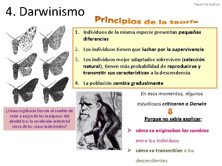Paula Val Andreu 4. Darwinismo 1. Individuos de la misma especie presentan pequeñas diferencias