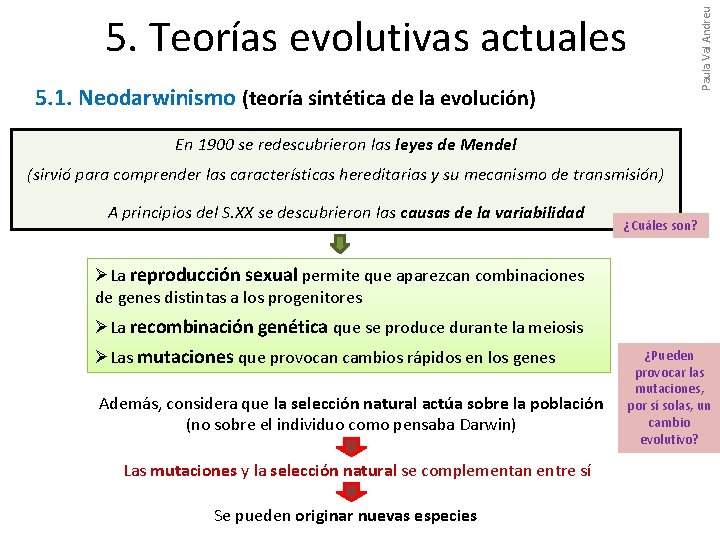 5. 1. Neodarwinismo (teoría sintética de la evolución) Paula Val Andreu 5. Teorías evolutivas